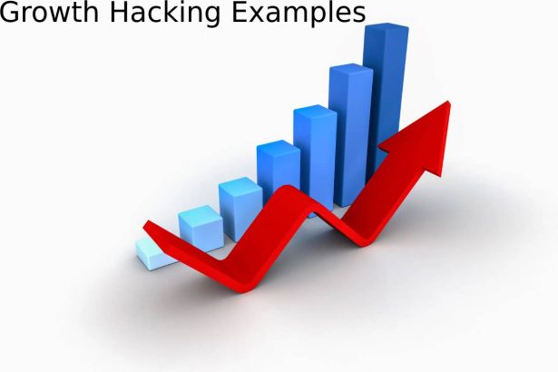 growth hacking examples