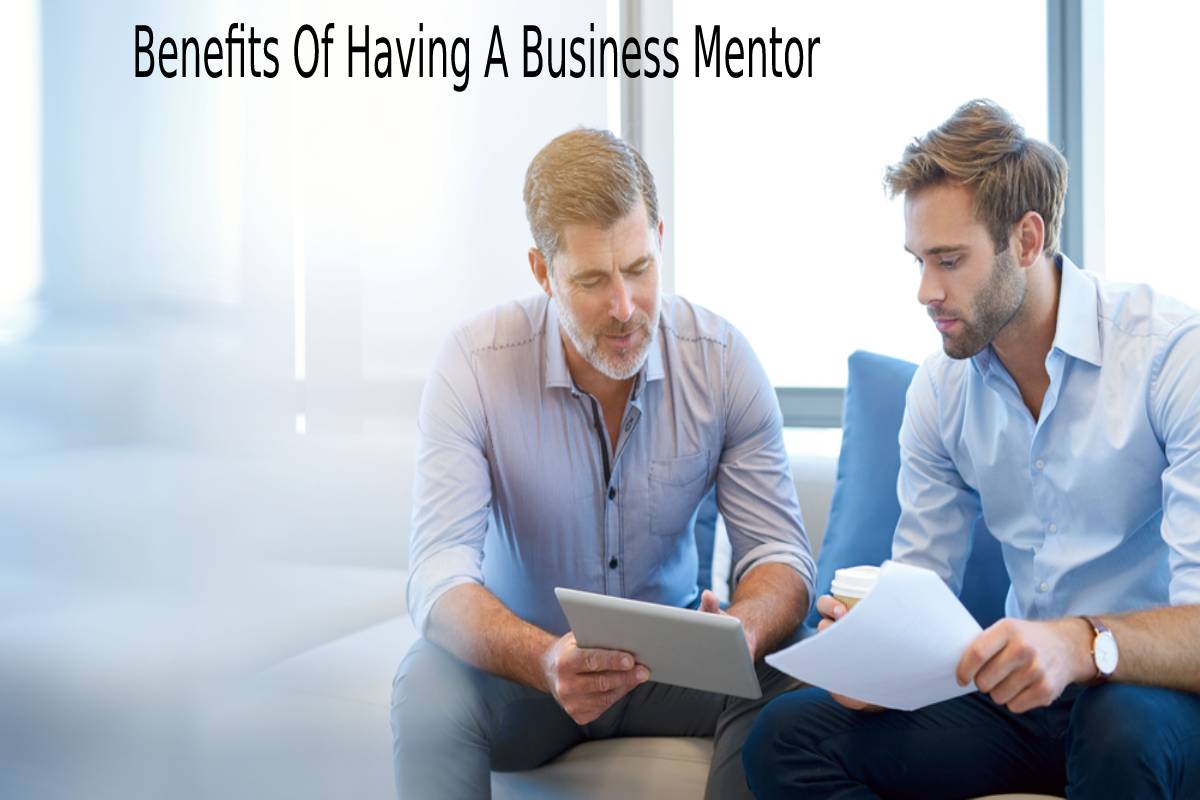 Benefits Of Having A Business Mentor And To Find One