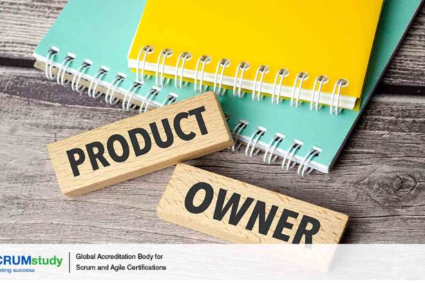 product owner training