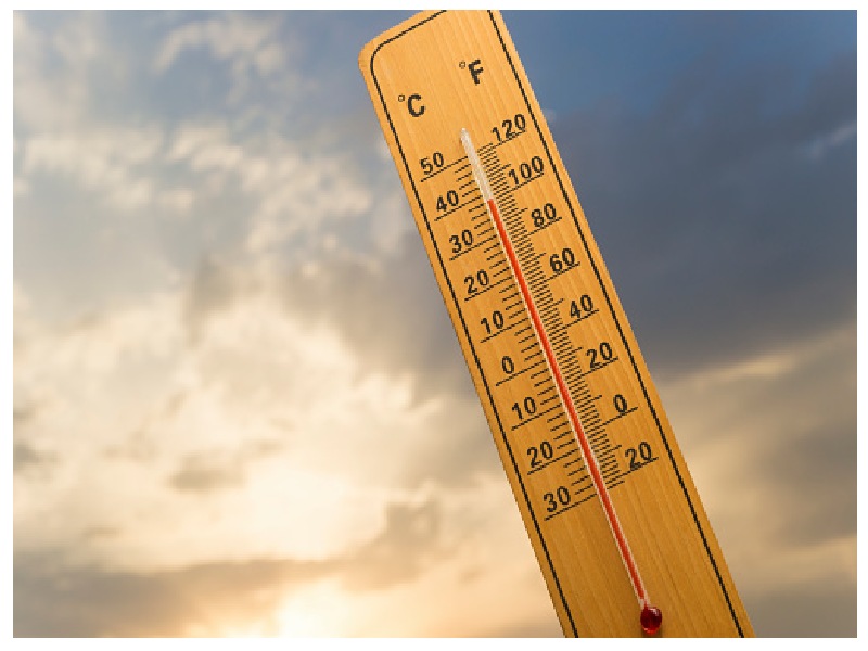 36 c to f in short