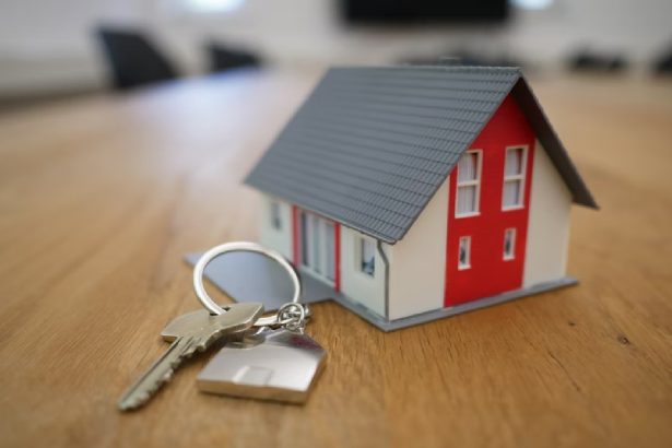 Nick Kyriacopoulos_ Real Estate Market Tendencies for 2022