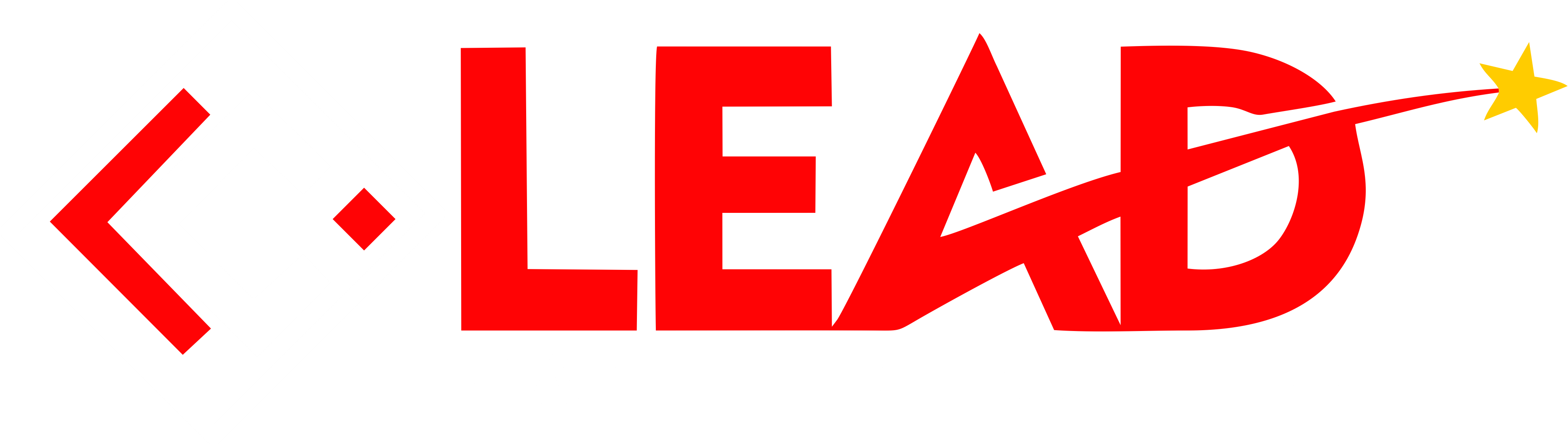 Lead Marketing Business