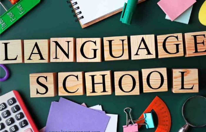 Outline Of 44.891.024 Ltda Language School Santo Antonio De Jesus