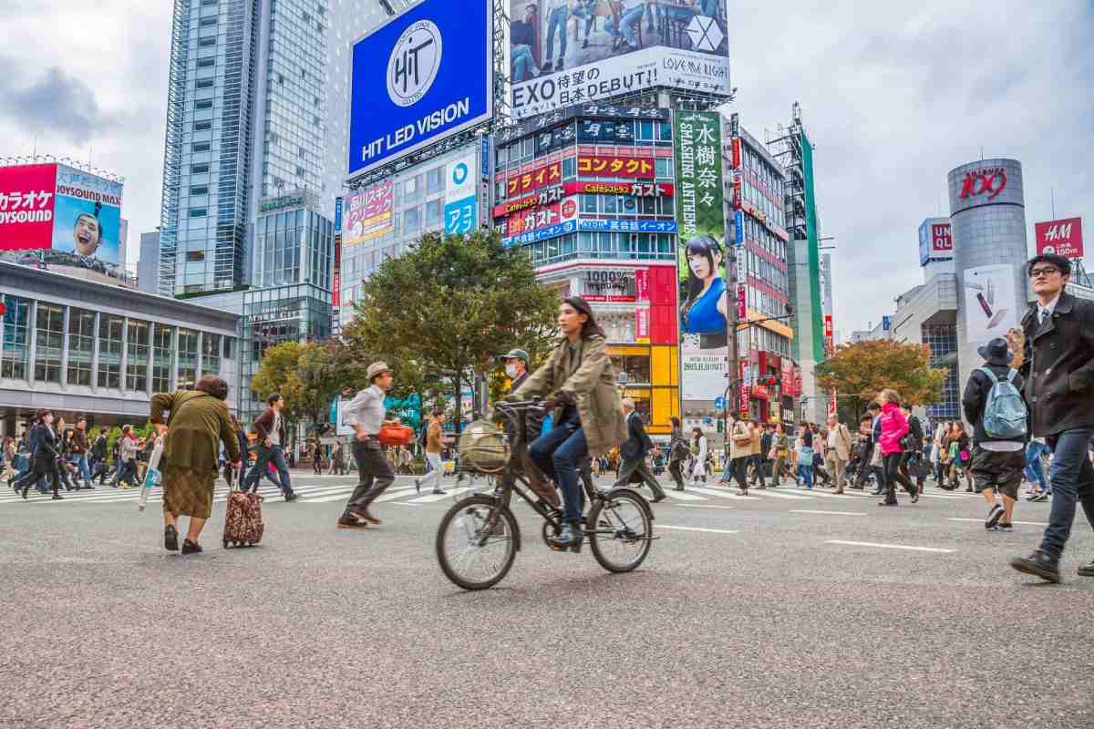 Sumida Y Profundo Asakusa Riverside Neighborhoods Cycle & 1daybike Rental