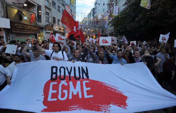 The Gezi Park Protests_