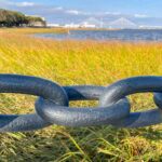 Building Resilience in Modern Distributors