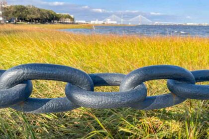 Building Resilience in Modern Distributors